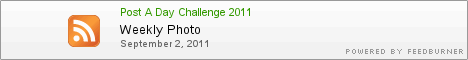 Post A Day Challenge 2011