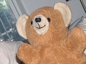 Close-up of a teddy bear